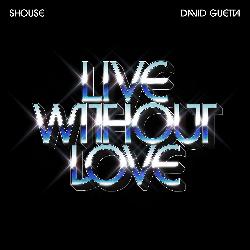 Shouse & David Guetta - Live Without Love